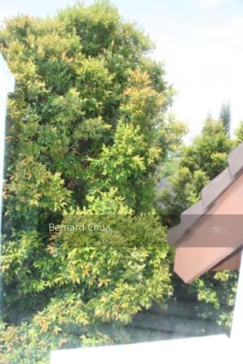 Binjai Crest (D21), Terrace #182467912